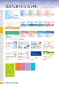 2016viscacatalog