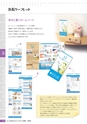 2016viscacatalog