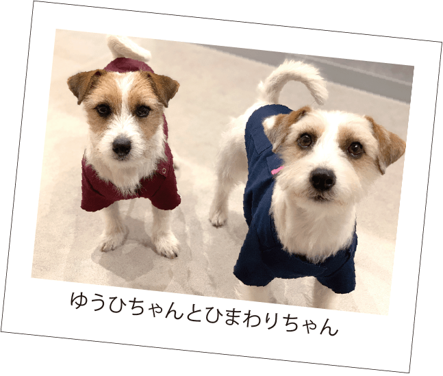 vol121-11 vol121-11